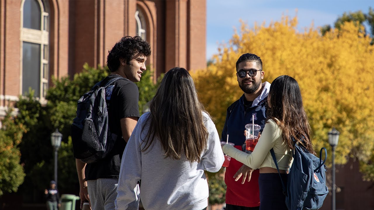 Wildcat Voices: The International Student Experience