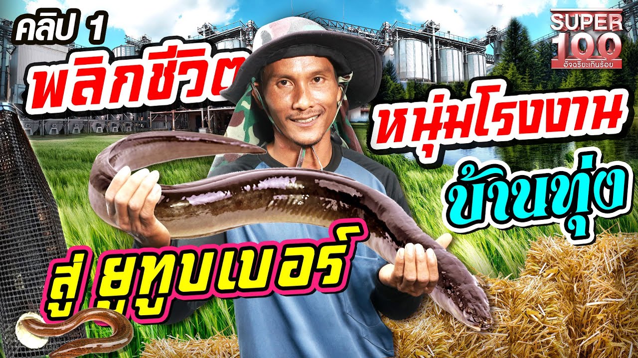 คลิปที่ 1 | พลิกชีวิต #พรานหมึกคนตีผึ้ง จากหนุ่มโรงงาน สู่ ยูทูบเบอร์ บ้านทุ่ง | SUPER100