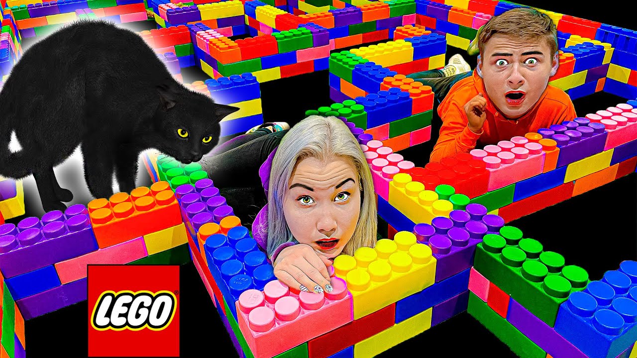 Il Labirinto LEGO Più Grande Del Mondo Per Gatti Sfida !