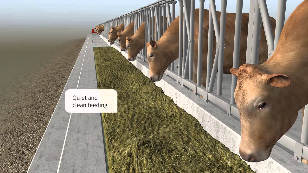feedstar – The automatic feeding system of EDER
