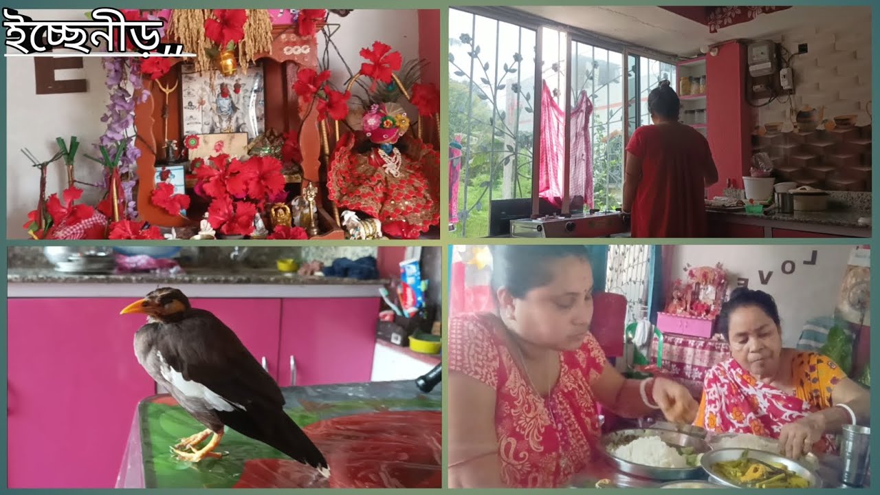 যত সংসার থেকে বিশ্রাম নিতে চাই ততই জরিয়ে পরি, আজ চিনি কেমন ভাত ঘুম দিছে দেখুন #new #bengolividio 