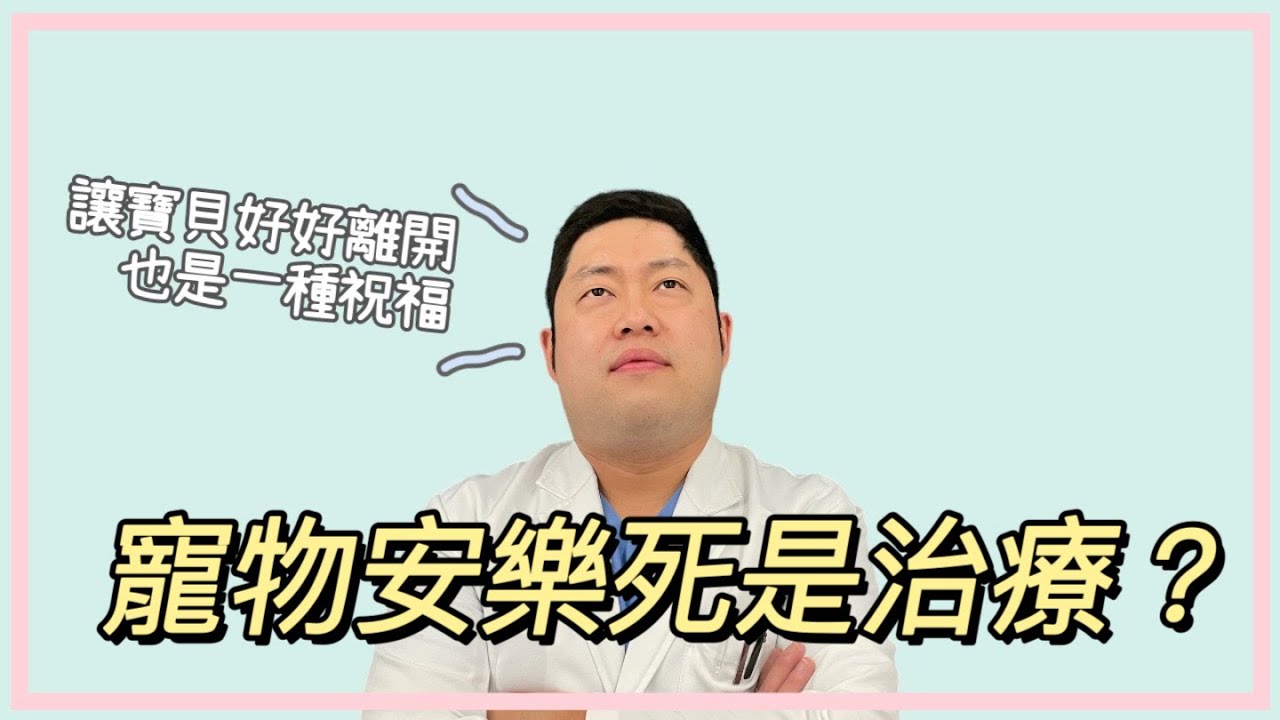 安樂死是寵物照護的一環？幫他也幫你做出最困難的決定心態該如何自處？