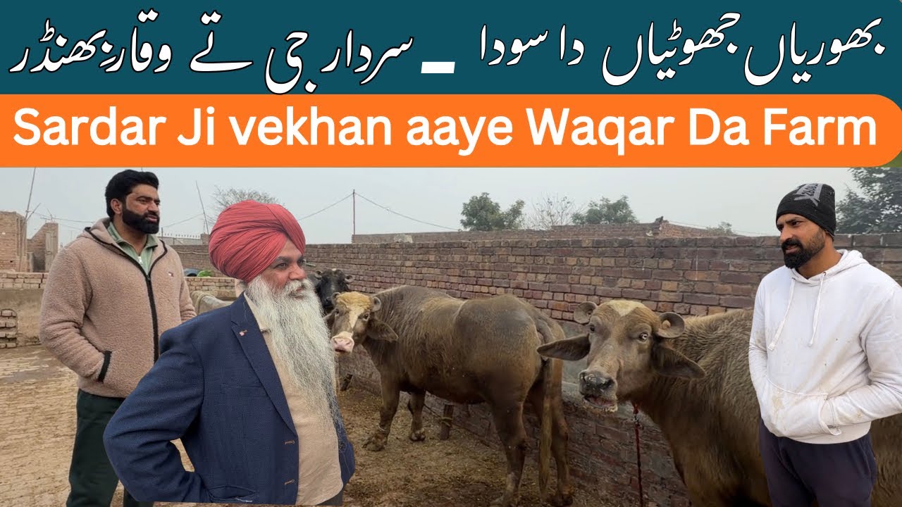 Waqar Bhinder da Farm | Sardar ji from Canada | Nasir Dhillon 