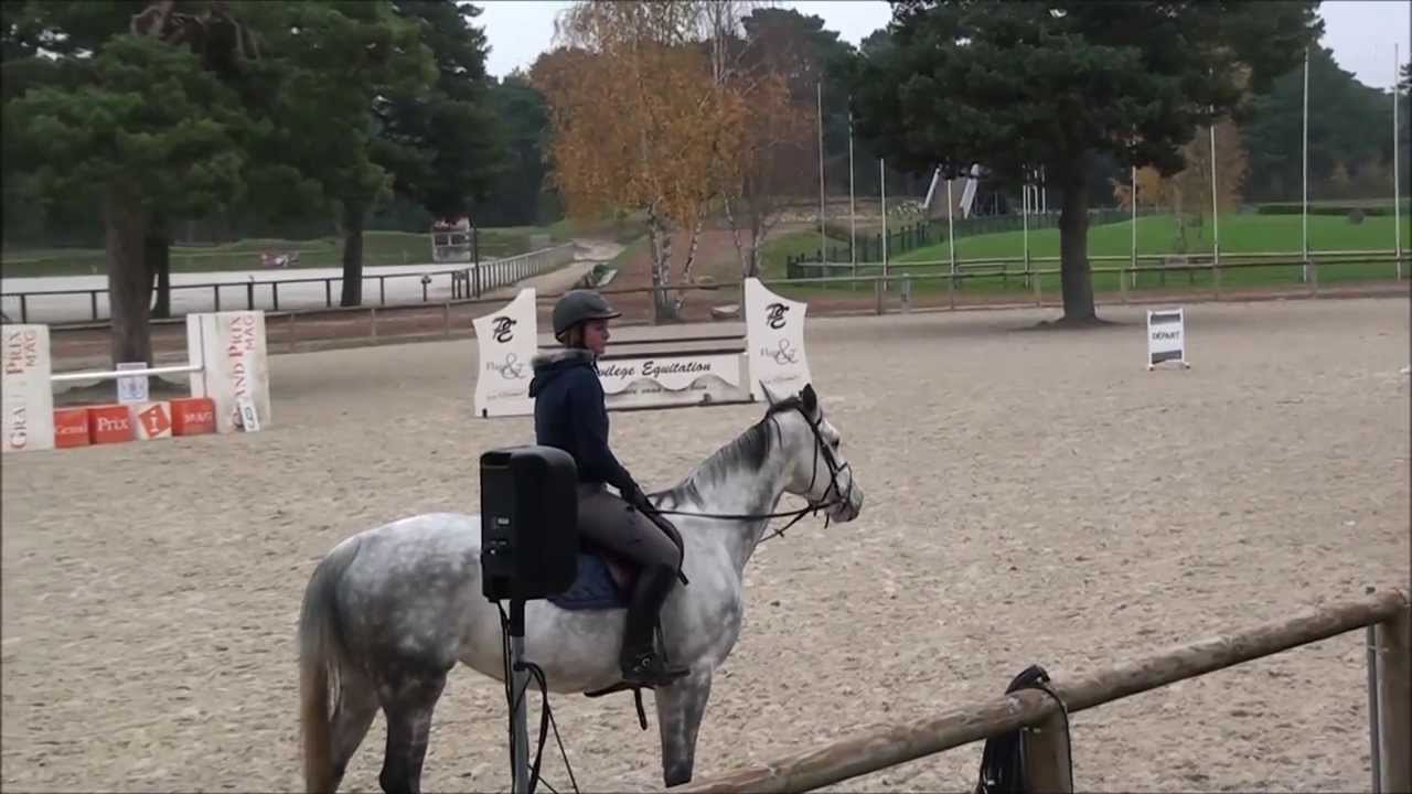 Klinik Day by Max (23 Novembre 2013). Fontainebleau