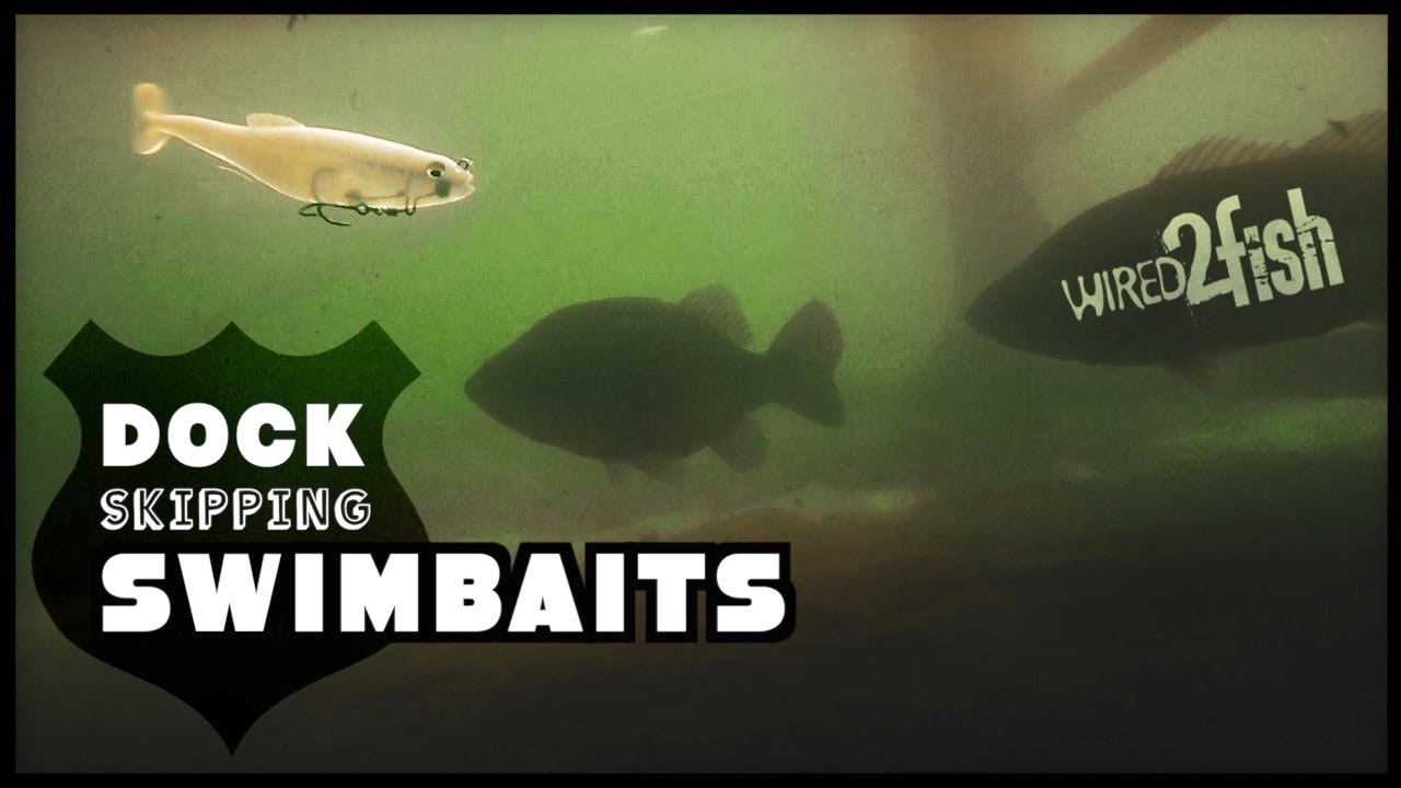 Skipping Swimbaits for Dock Bass | Zaldain’s 5 Tips for Success