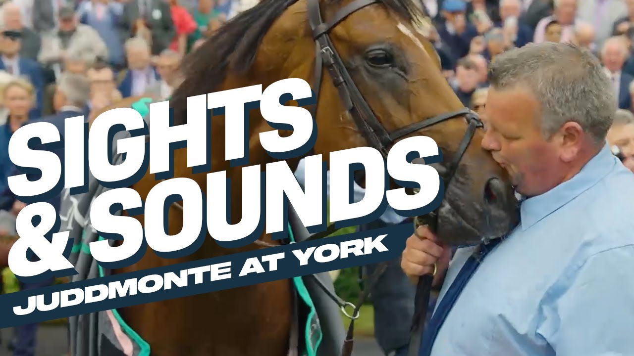 Sights & Sounds: Juddmonte International Won By City Of Troy | York Ebor Festival 2024
