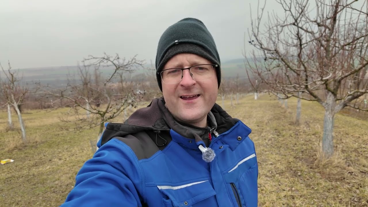 14/26🔥 Kadeřavost broskvoní 2026: Rozhodující dny právě začínají! Stihnete postřik včas?⚠️Radkův sad