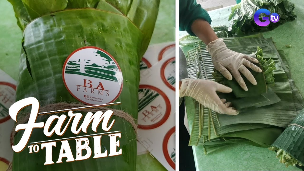 Farm To Table: Sustainable and ecological ways of farming at BA Farms Cavite