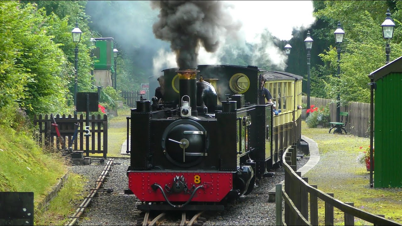 Vale of Rheidol Railway - 8th August 2025