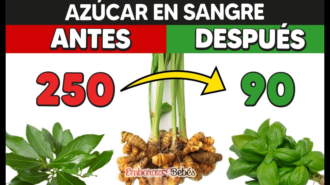 5 PLANTAS para BAJAR EL AZ&Uacute;CAR EN SANGRE R&aacute;pido 🤯🌿 Remedios naturales contra la Diabetes