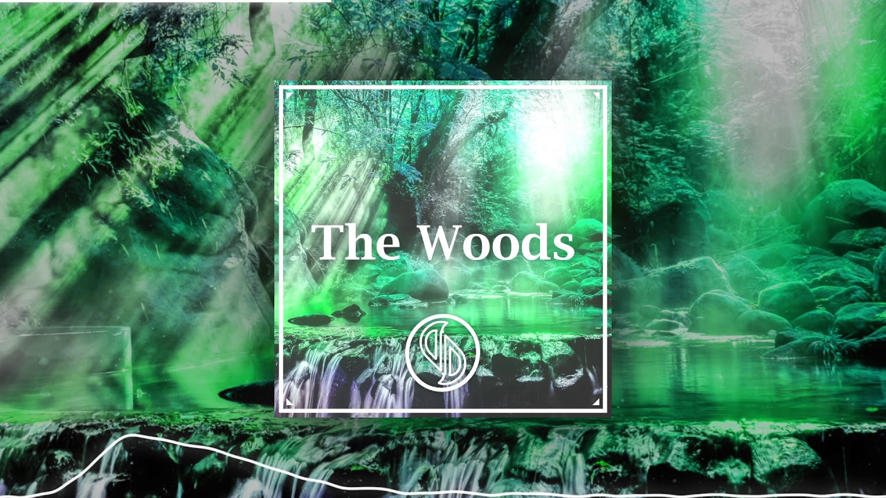 JJD - The Woods