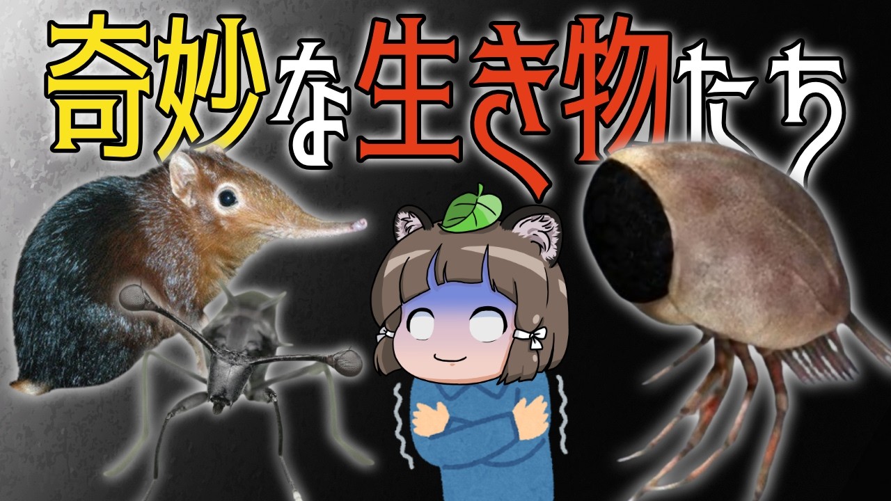 【神のいたずら】なんでこうなる？信じられない見た目の生き物7選