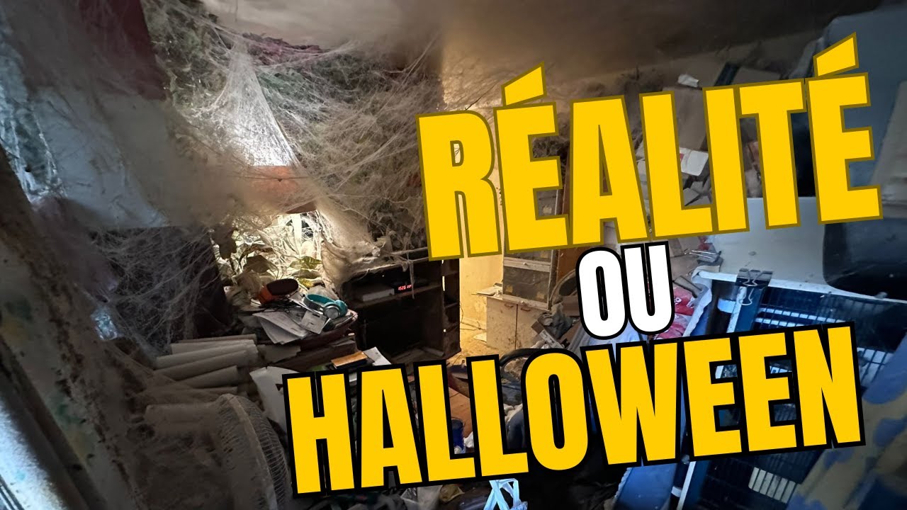 Remise en état d'un appart extrême - MAISONEUF