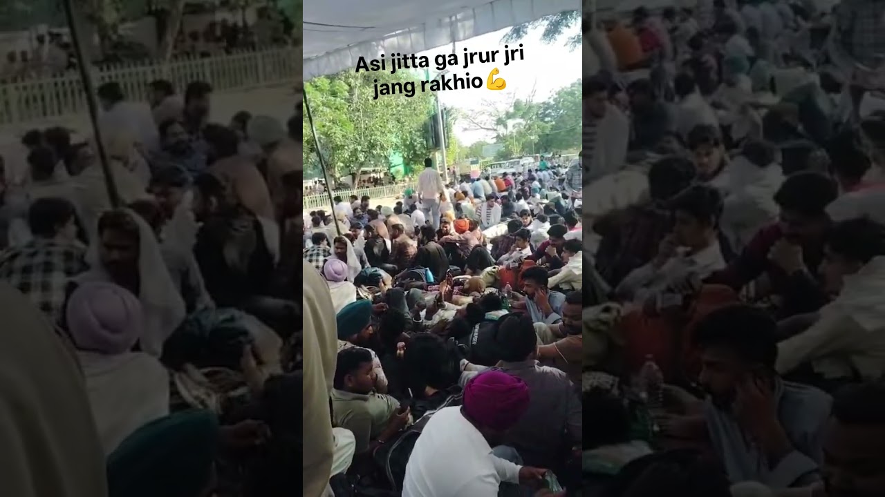 2600 apprenticeship protest💪/ 2nd day #pspcl l#protest #dharna #punjab #punjabiat