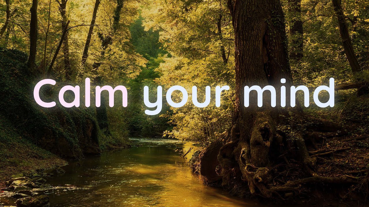 CALM YOUR MIND... Slow Motion Forest River & Nature Sounds