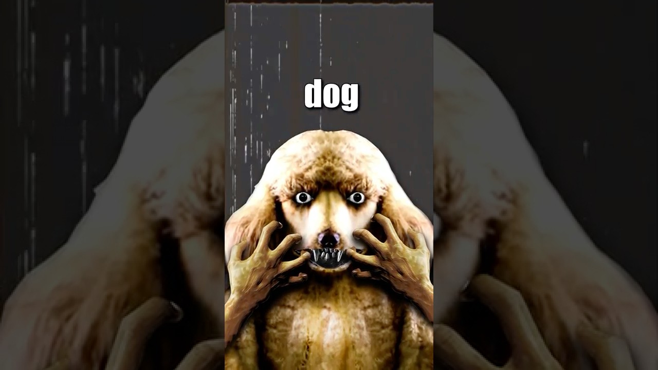 ИНЦИДЕНТ С ЧЕЛОВЕКОМ-СОБАКОЙ! 🐕