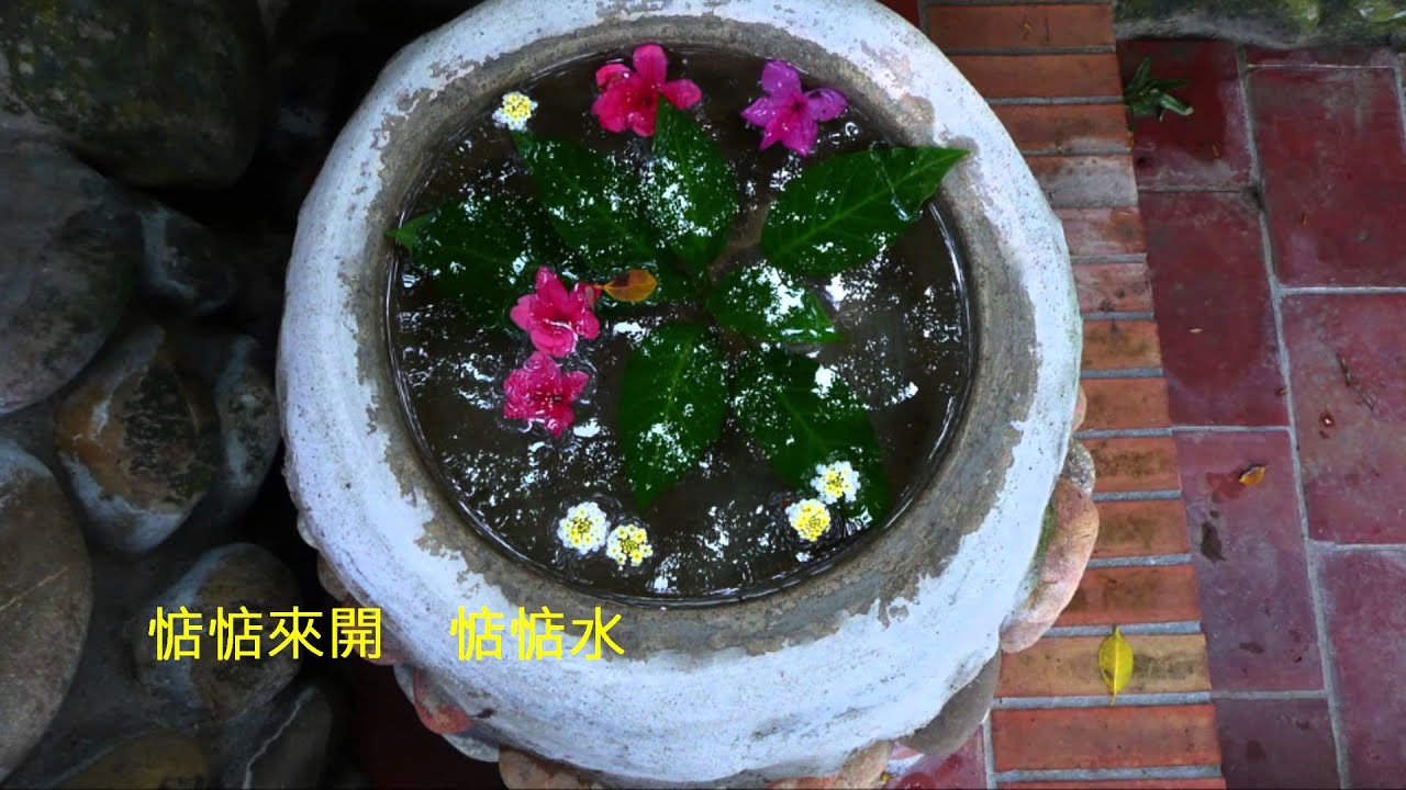 音樂磁場(風) -無言花 , ＃華陶窯3-花草篇, Taiwan
