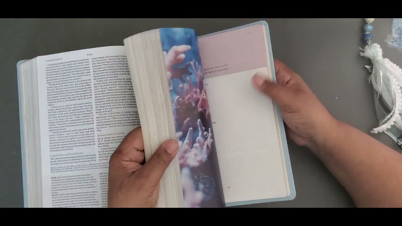 Every Woman's Bible Review