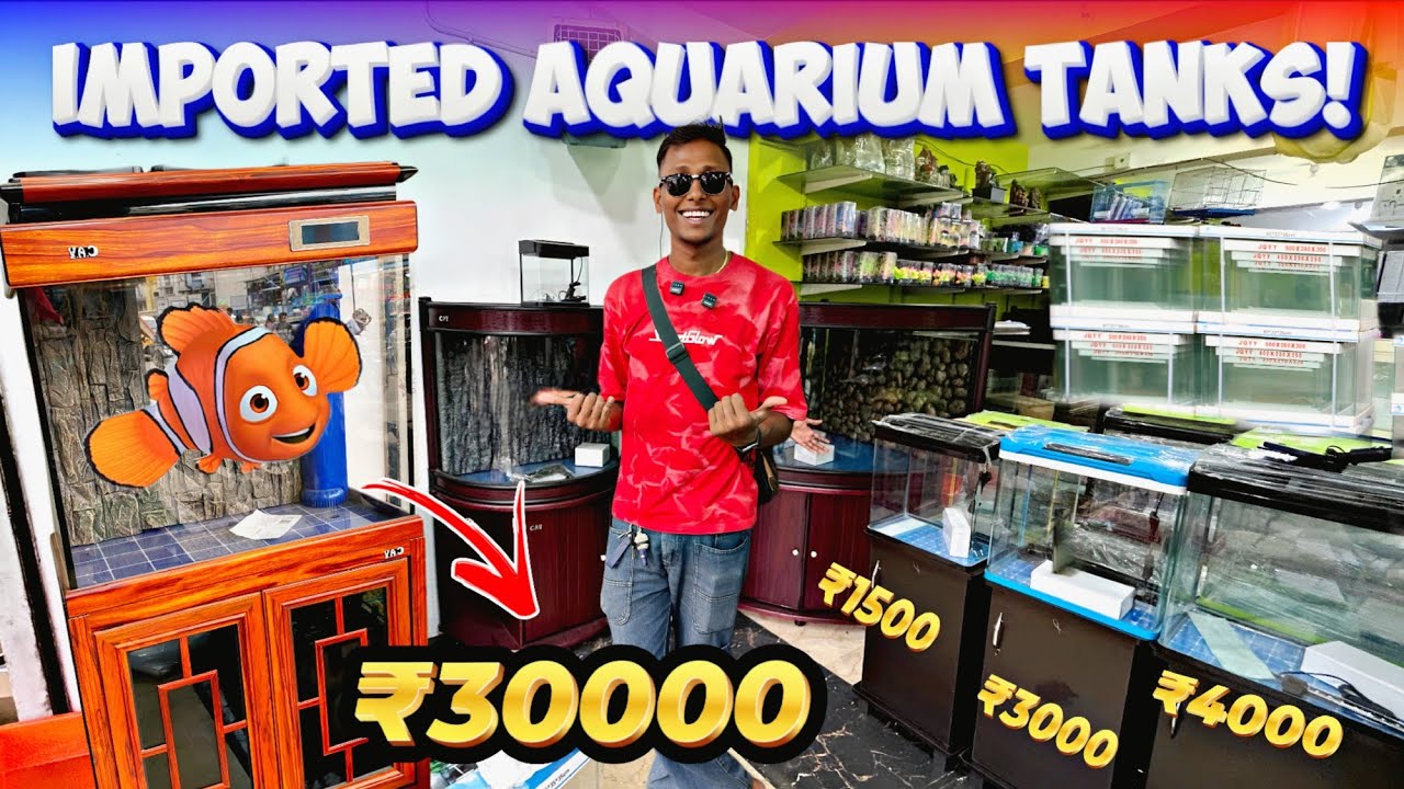 1500₹ முதல் 🎏 Aquarium Curved & Round Imported Tanks | Indian Ocean Aquarium Kolathur