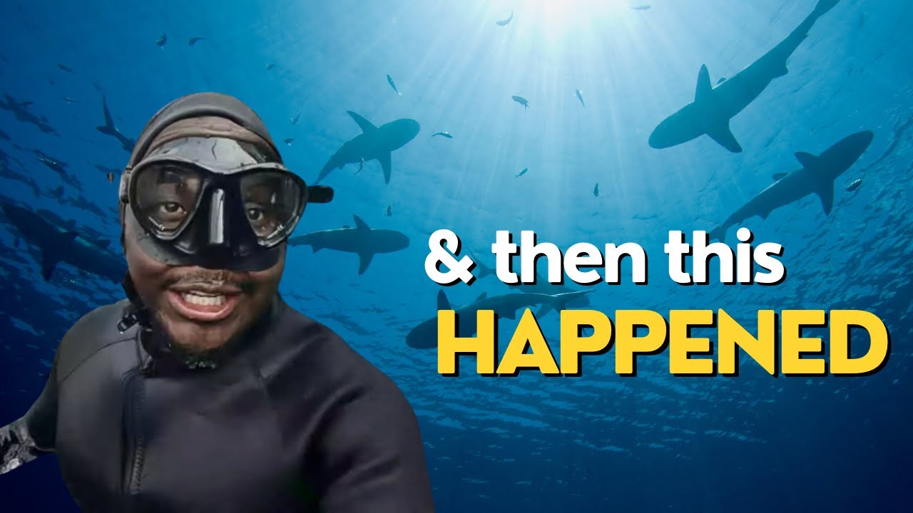 I FINALLY DID THE  SHARK  CAGE DIVING IN CAPETOWN | WESTERN CAPE