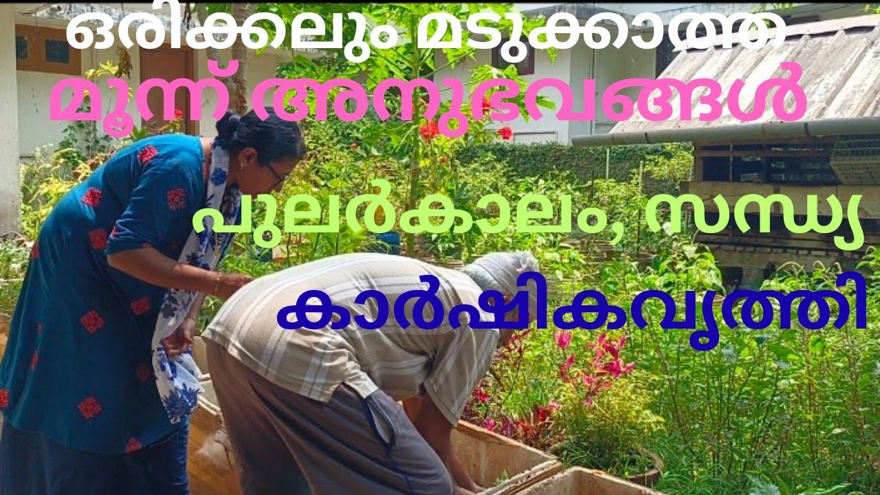 എനിക്ക് ഒരിക്കലും മടുപ്പ് അനുഭവപ്പെടാത്ത മൂന്ന് അനുഭവങ്ങളാണ് പുനർകാലവും സന്ധ്യയും കാർഷികവൃത്തിയും!