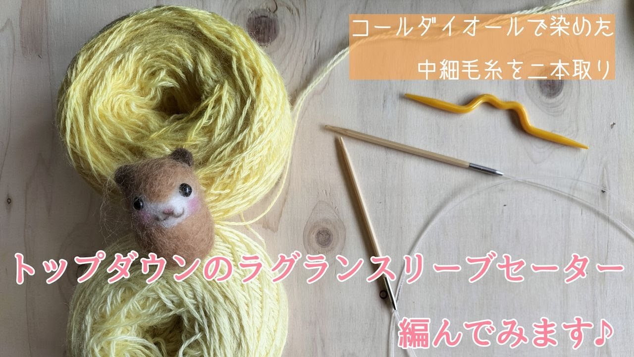 輪針でラグランスリーブのトップダウンセーターを編んでみます♪①　〜編み物 Vlog ⑤〜