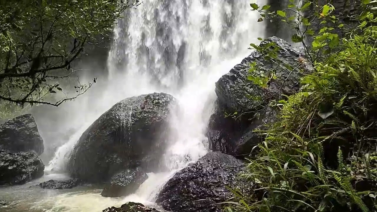 Atherton Tablelands Adventure Cairns.