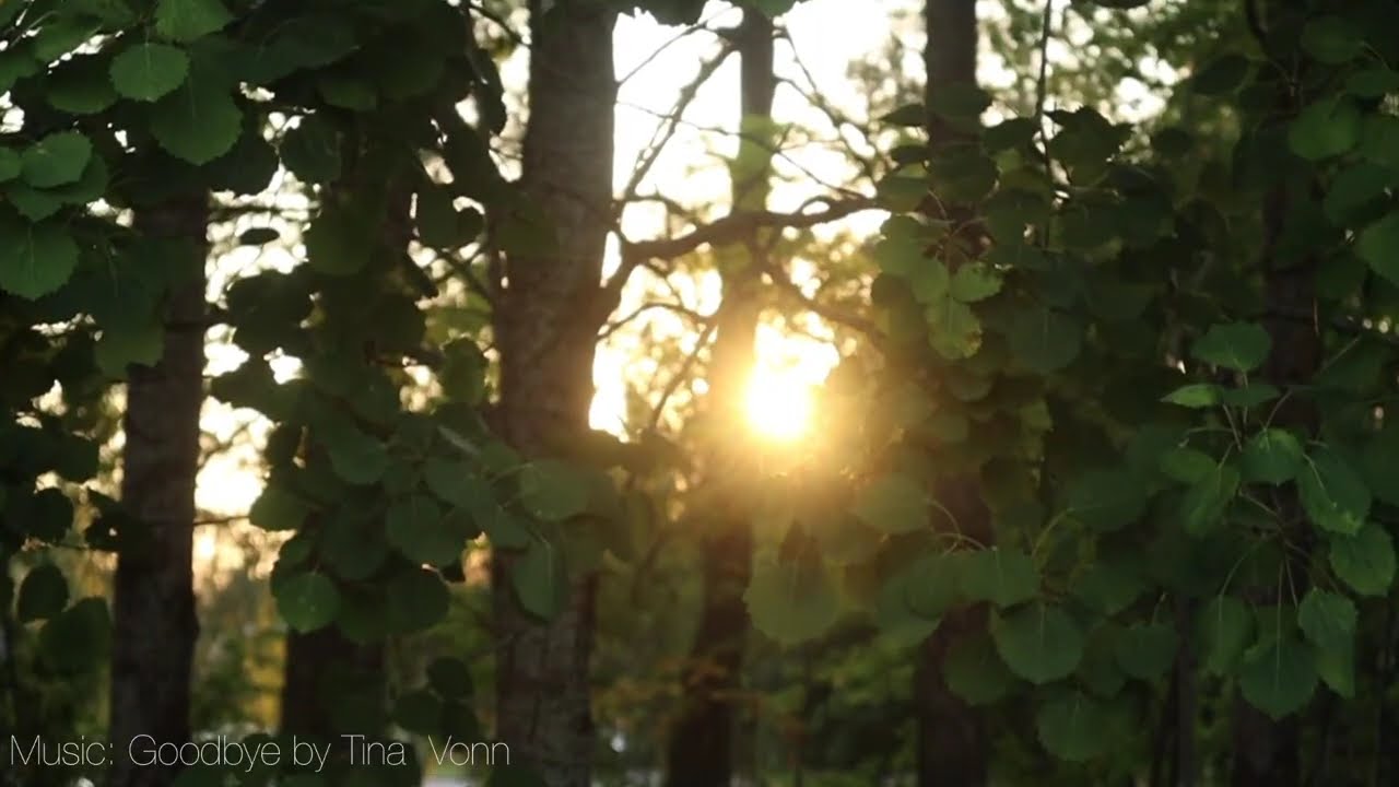 Summer Blues | Relaxing Music | My insomnia is over