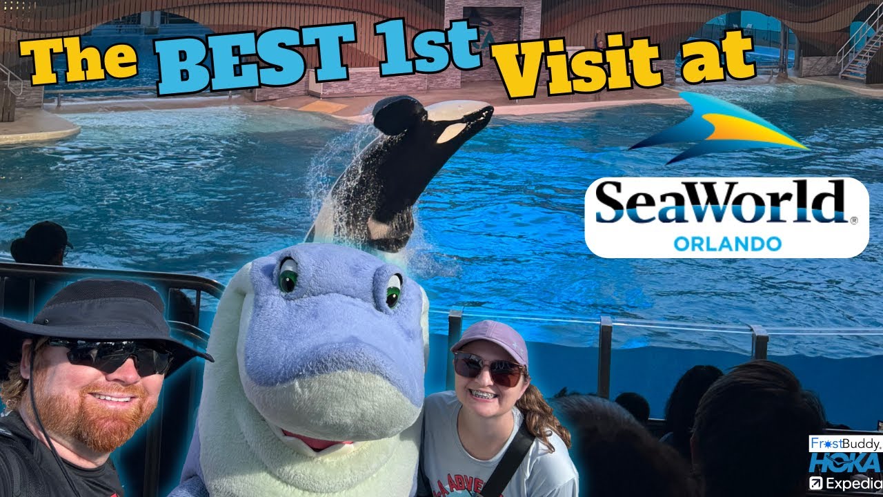 The Best 1st Visit at Seaworld Orlando! | Orlando, Florida