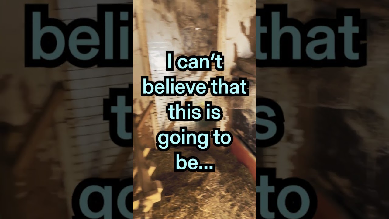 I turned this goat stable into a recording studio! 