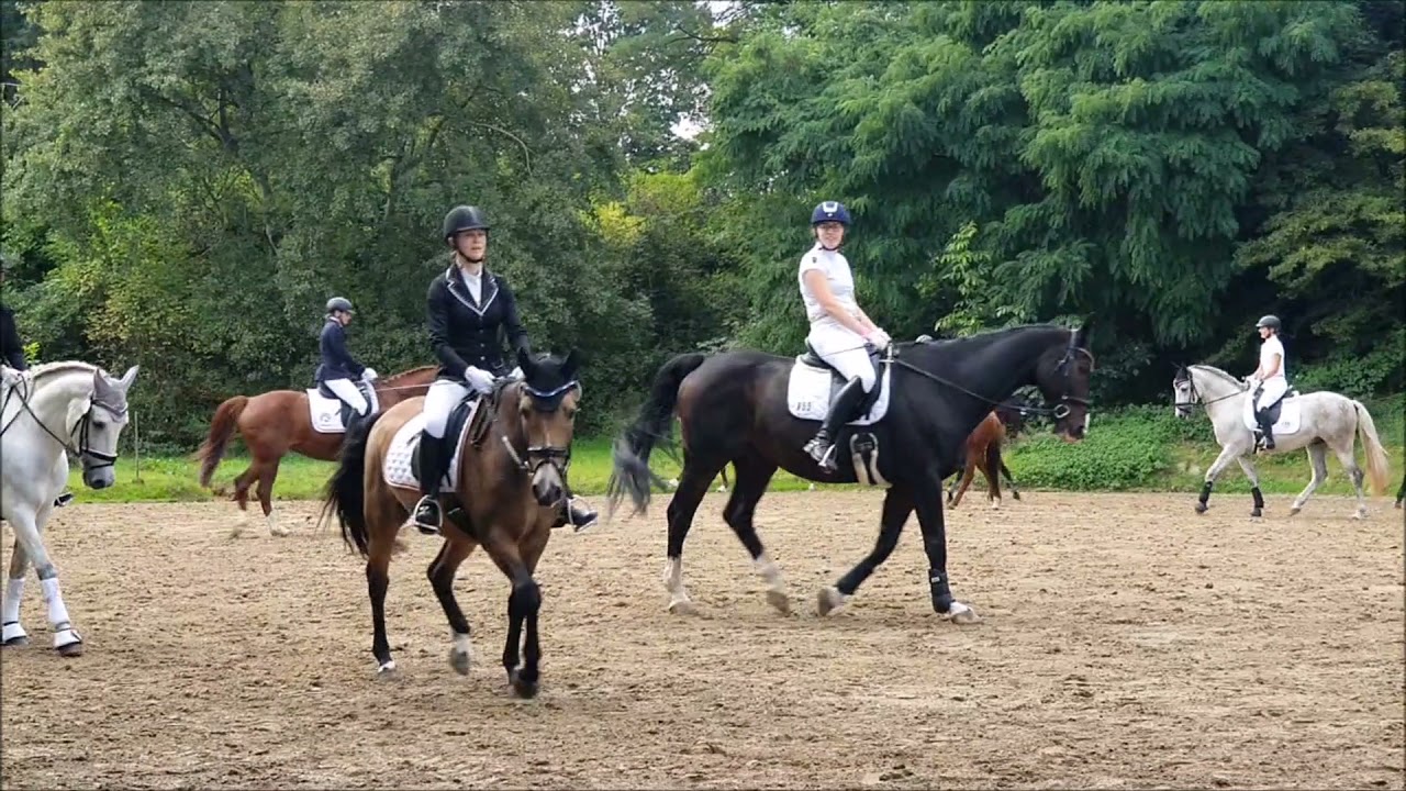 Bella Rossa  Beltoni x Lauries Crusador xx /Westfale mare *2009