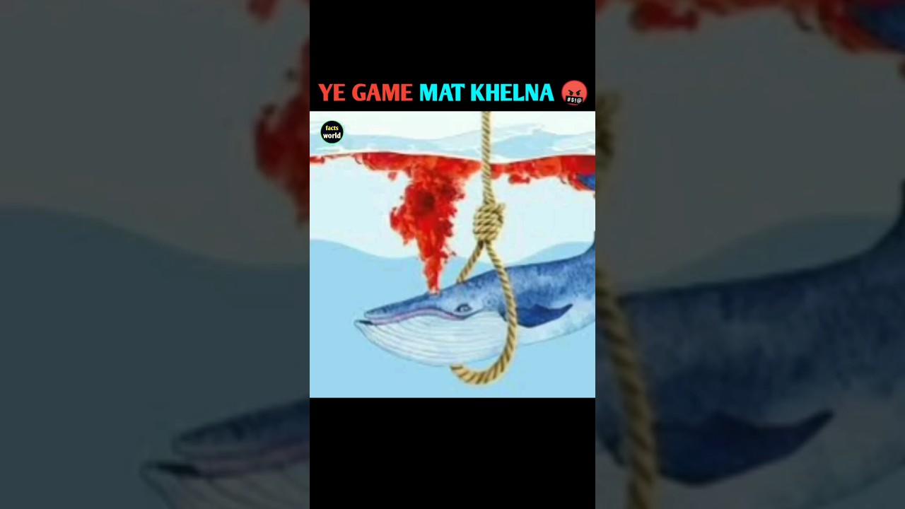 blue whale game mt khelna 