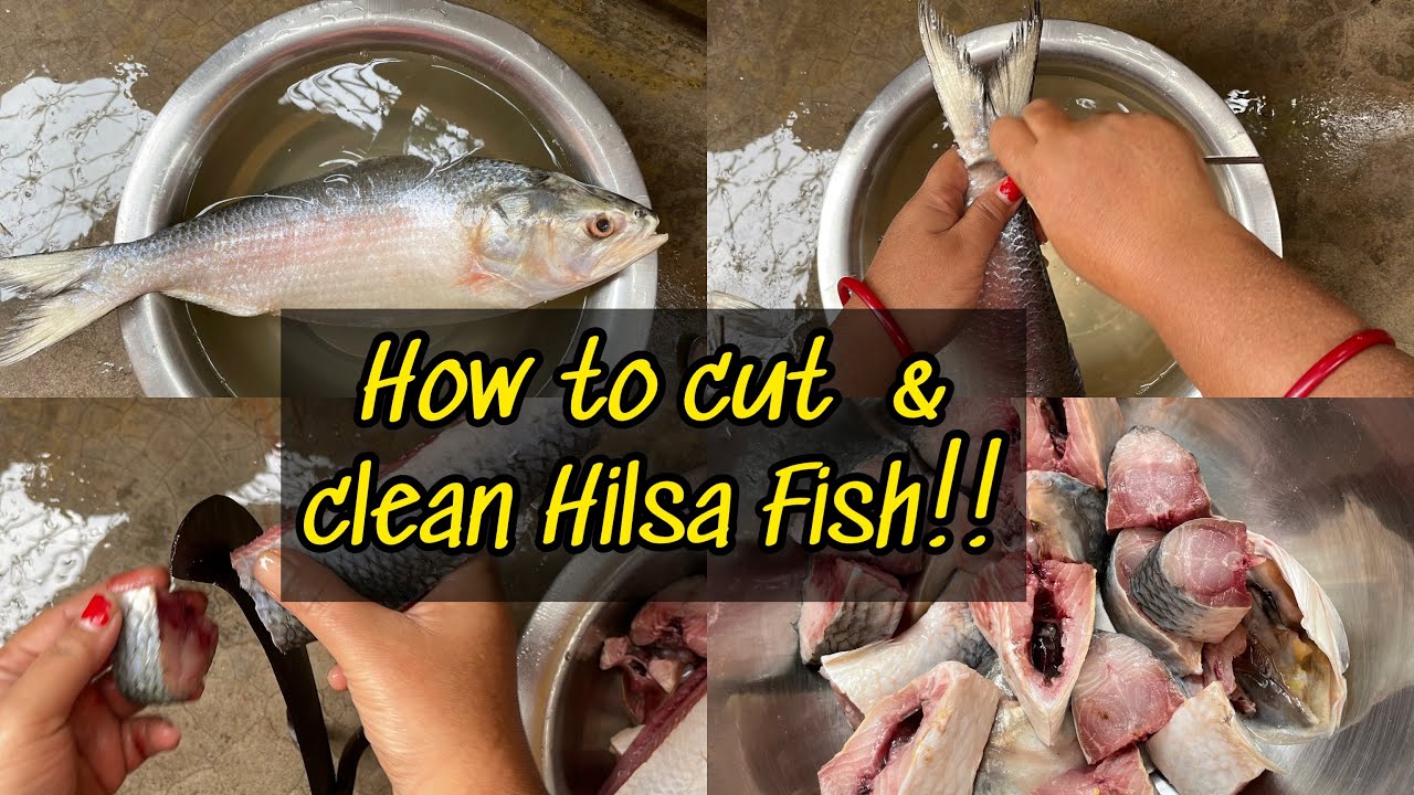 How to cut hilsa fish | Cut & clean ilish mach | Clean hilsa fish | D Recipe YouTube Channel