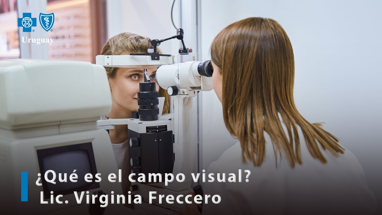 ¿Qué es el campo visual?