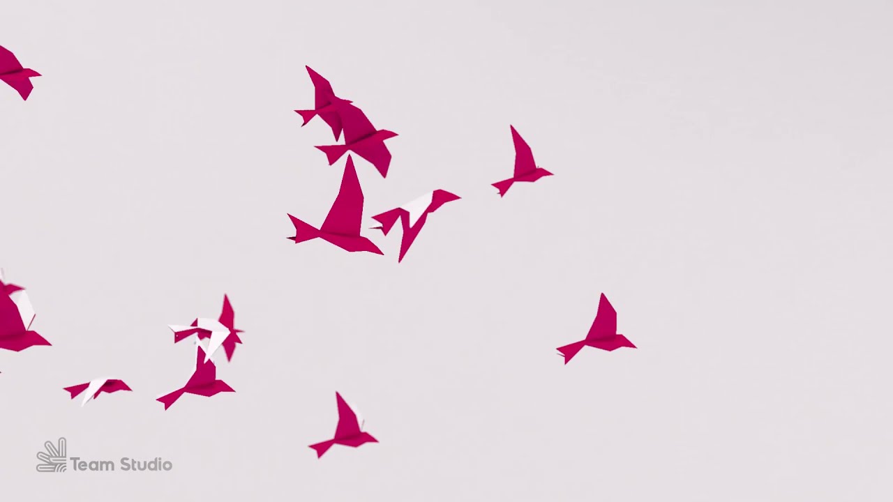 Arm Station - Birds
