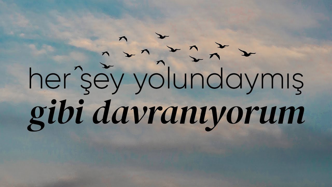 Her Şey Yolundaymış Gibi Davranıyorum - Emre Özdemir