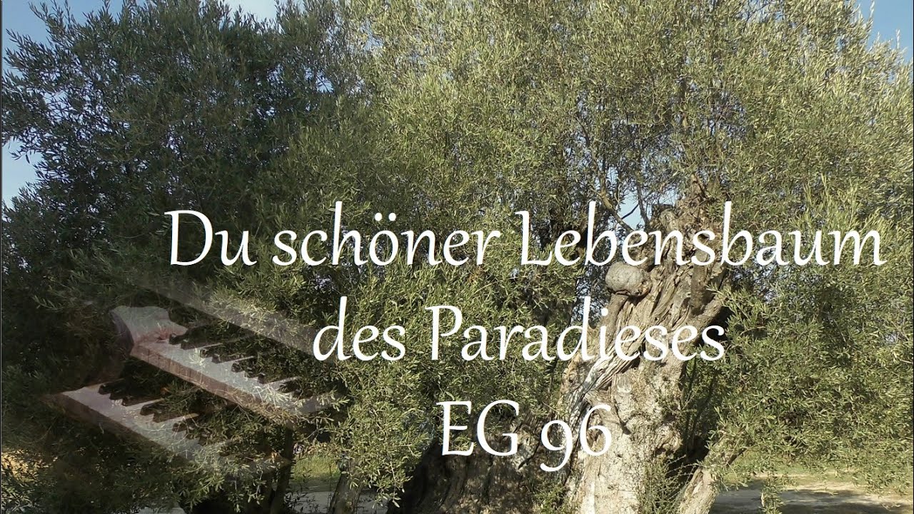Du schöner Lebensbaum des Paradieses EG 96
