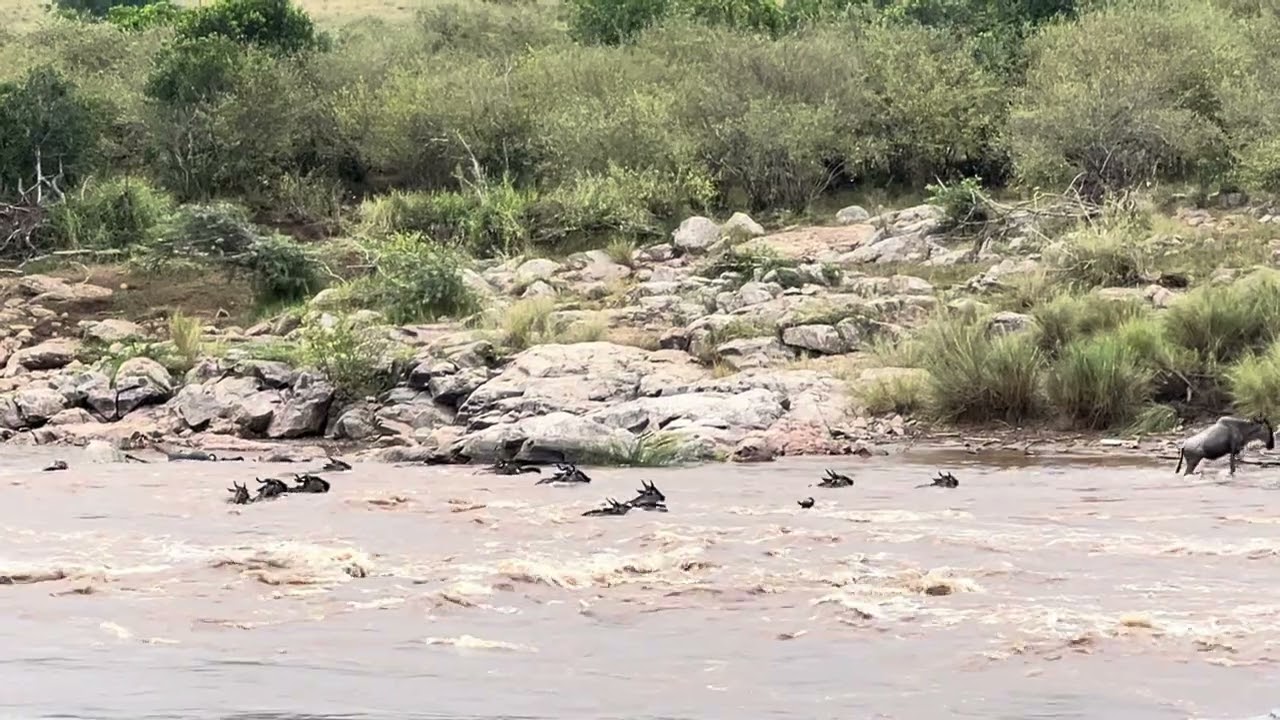 The Great Migration