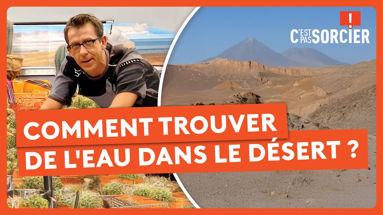 Comment trouver de l'eau dans le désert ? - C'est pas sorcier