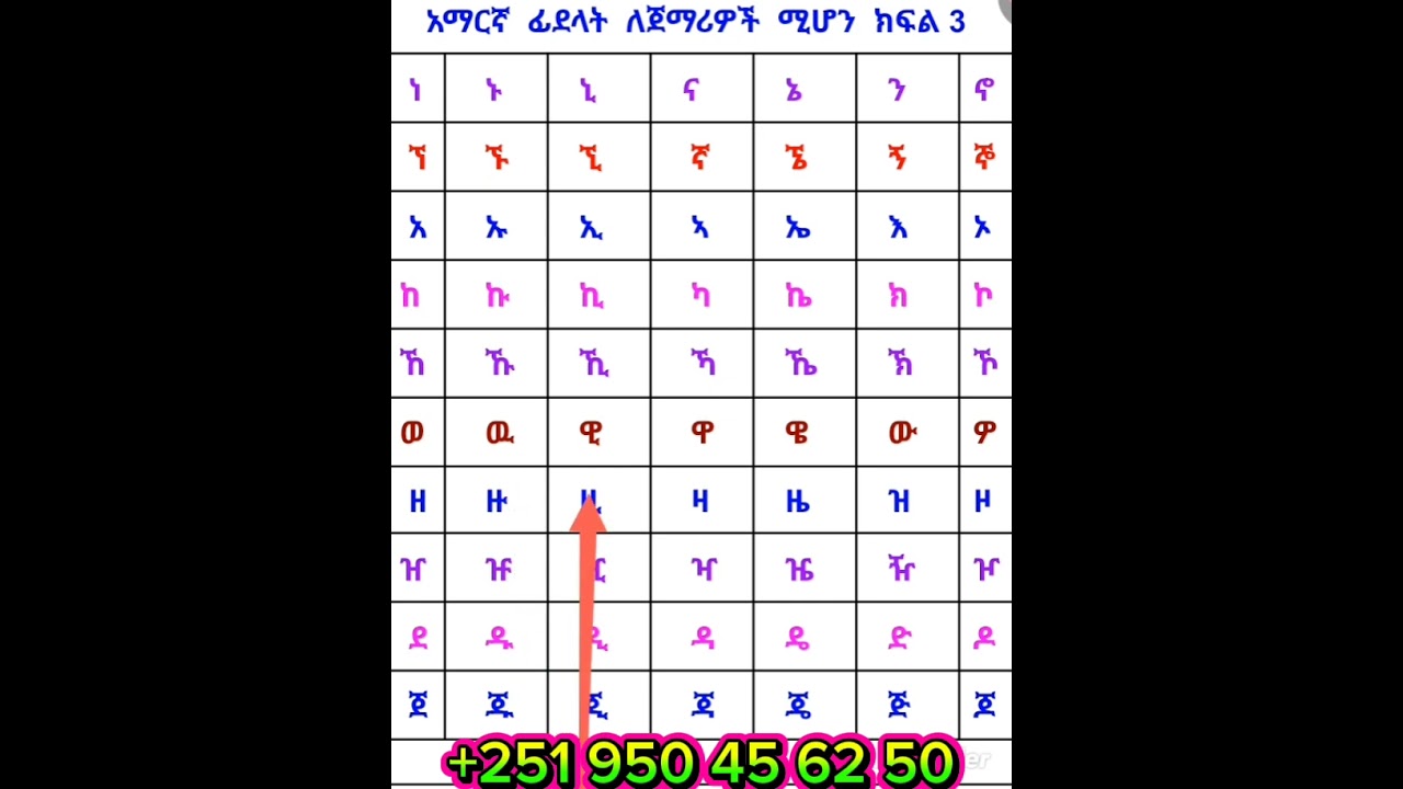28 January 2026