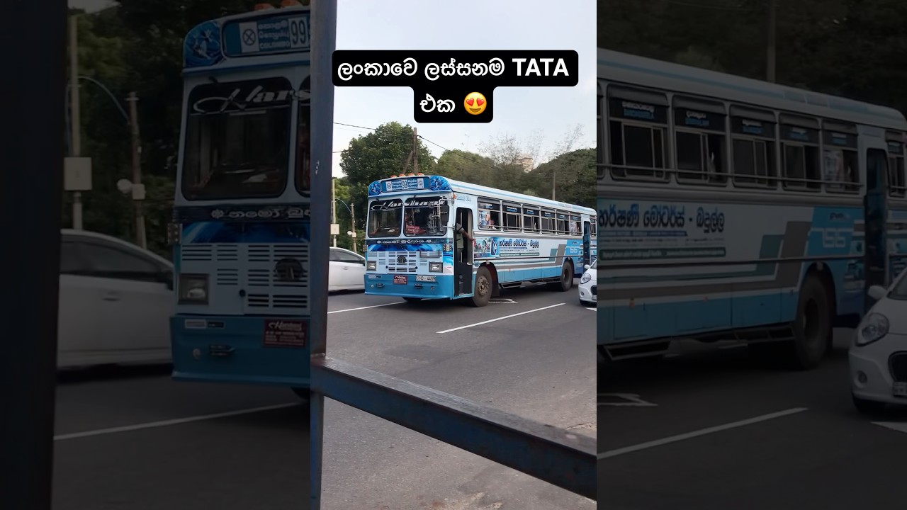 ලංකාවෙ ලස්සනම TATA එක 😍🚀 Most beautiful TATA bus #srilanka #viralvideo #fypシ゚ #1million