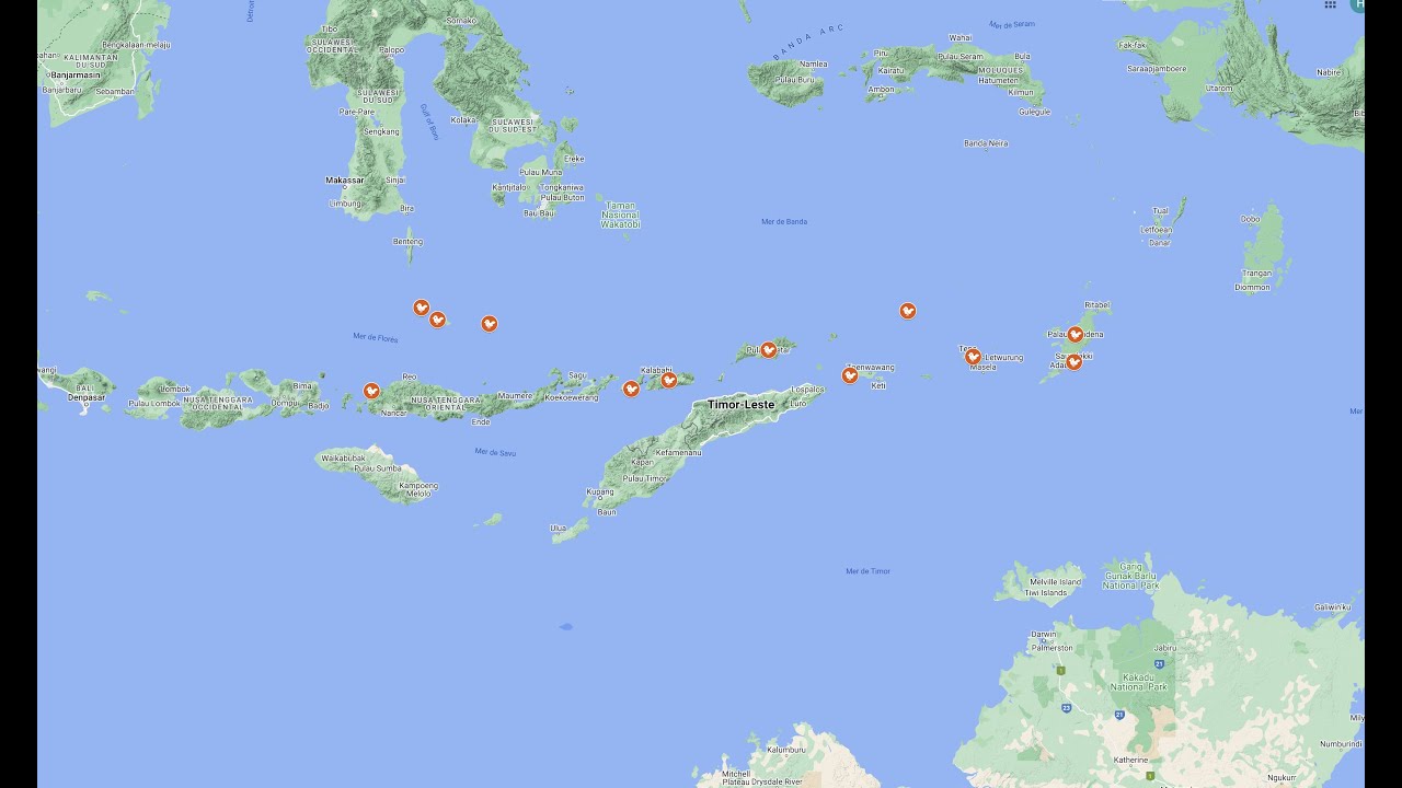 Birding in the Banda sea islands Indonesia.