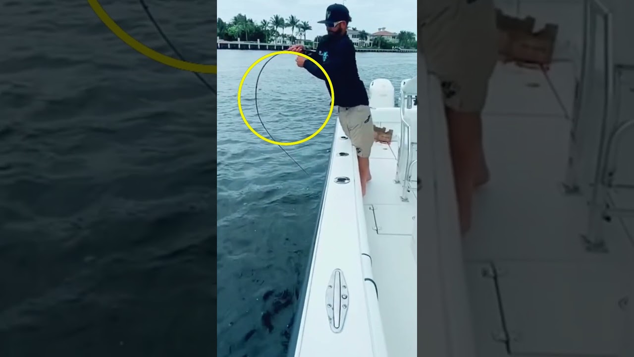 Fishing Fail Compilation 😀 | Fishing
