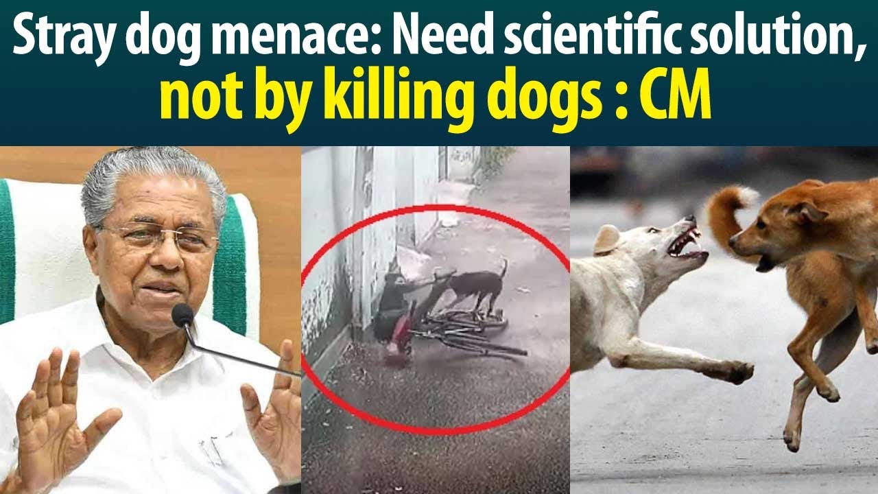 Know what Kerala CM Pinarayi Vijayan opine over stray dog menace!