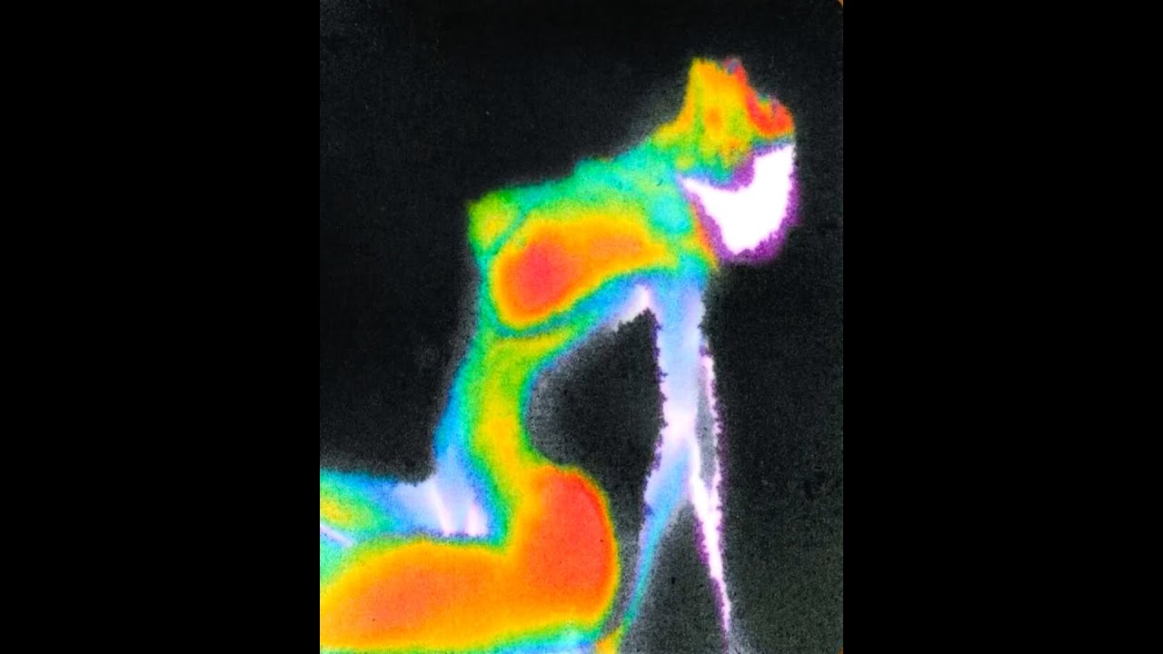 [FREE] Supertrap type beat 