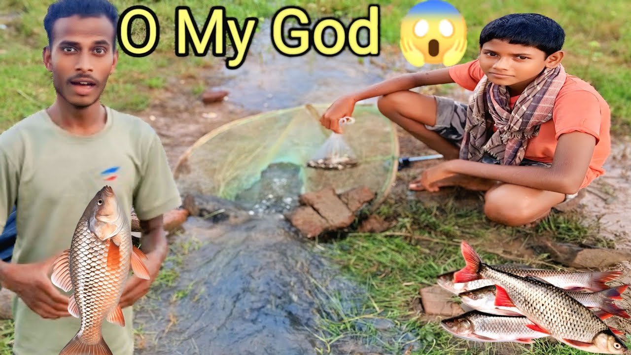 Today We Went Fishing 🐟 🐟 At The Pond | They Went Fishing At The Pond With A Net |