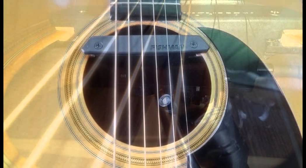 FISHMAN  RARE EARTH BLEND ピックアップ