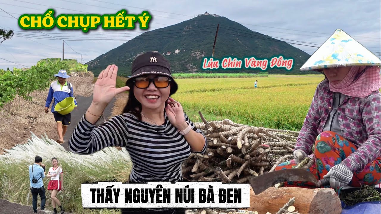 Chổ Chụp Hình ''Hết Ý'' - CON ĐƯỜNG QUÊ BÌNH YÊN TÂY NINH. Nét Đẹp Ruộng Vườn Ngay Chân Núi Bà Đen.