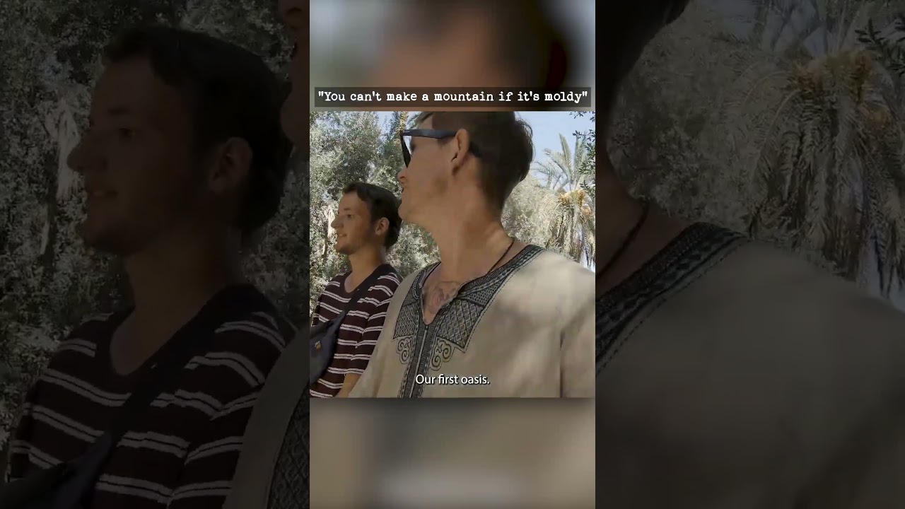 Ты не сможешь создать гору, если она заплесневела 🇹🇳