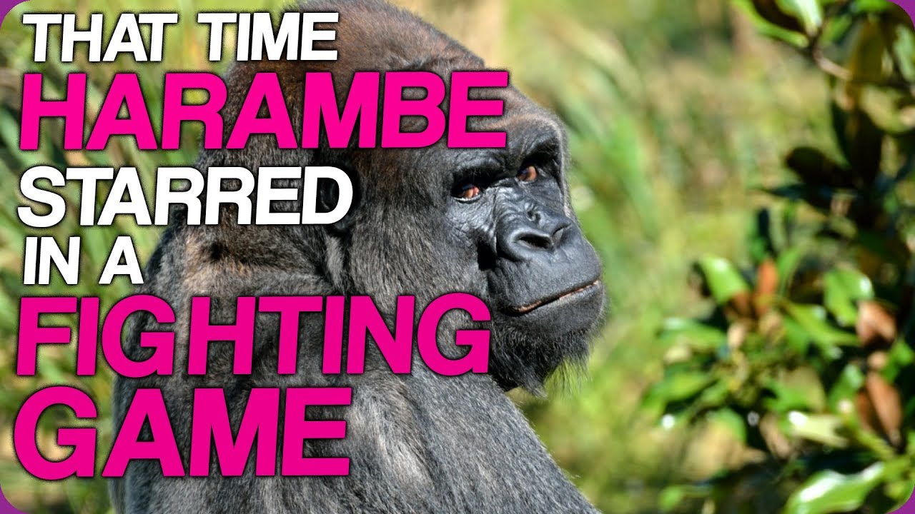 Wiki Weekends | That Time Harambe Starred In A Fighting Game